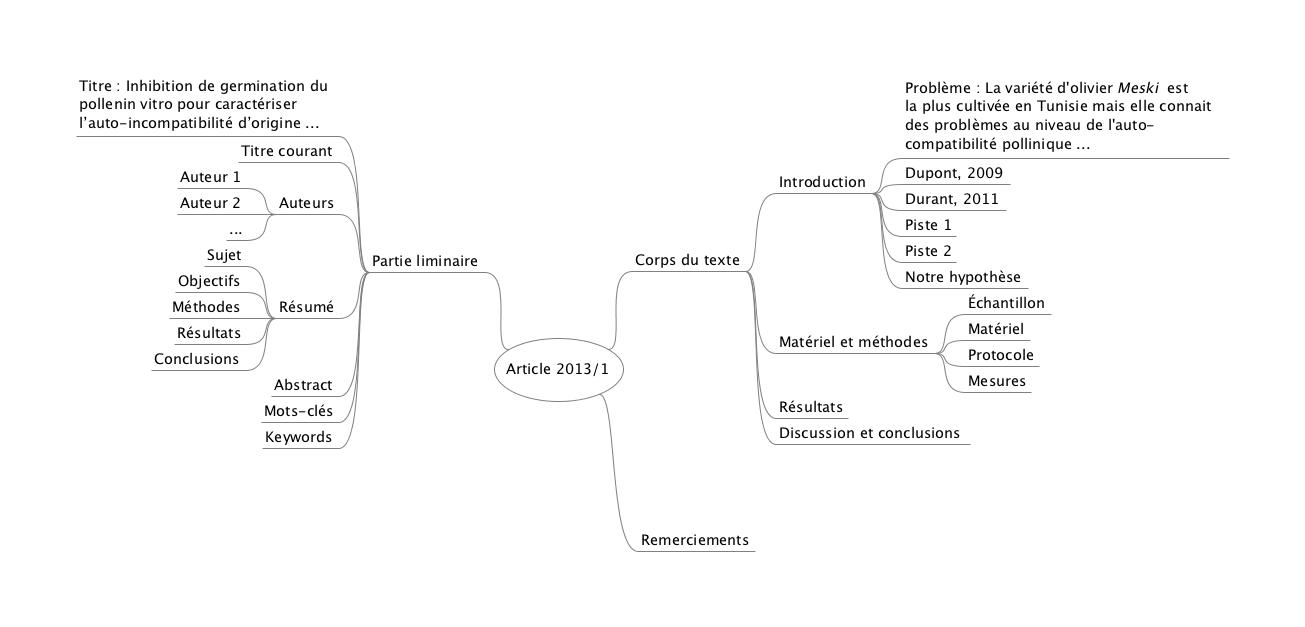 Un exemple de carte mentale réalisée avec le logiciel Freeplane.