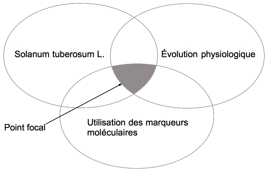 Représentation graphique de la question documentaire.